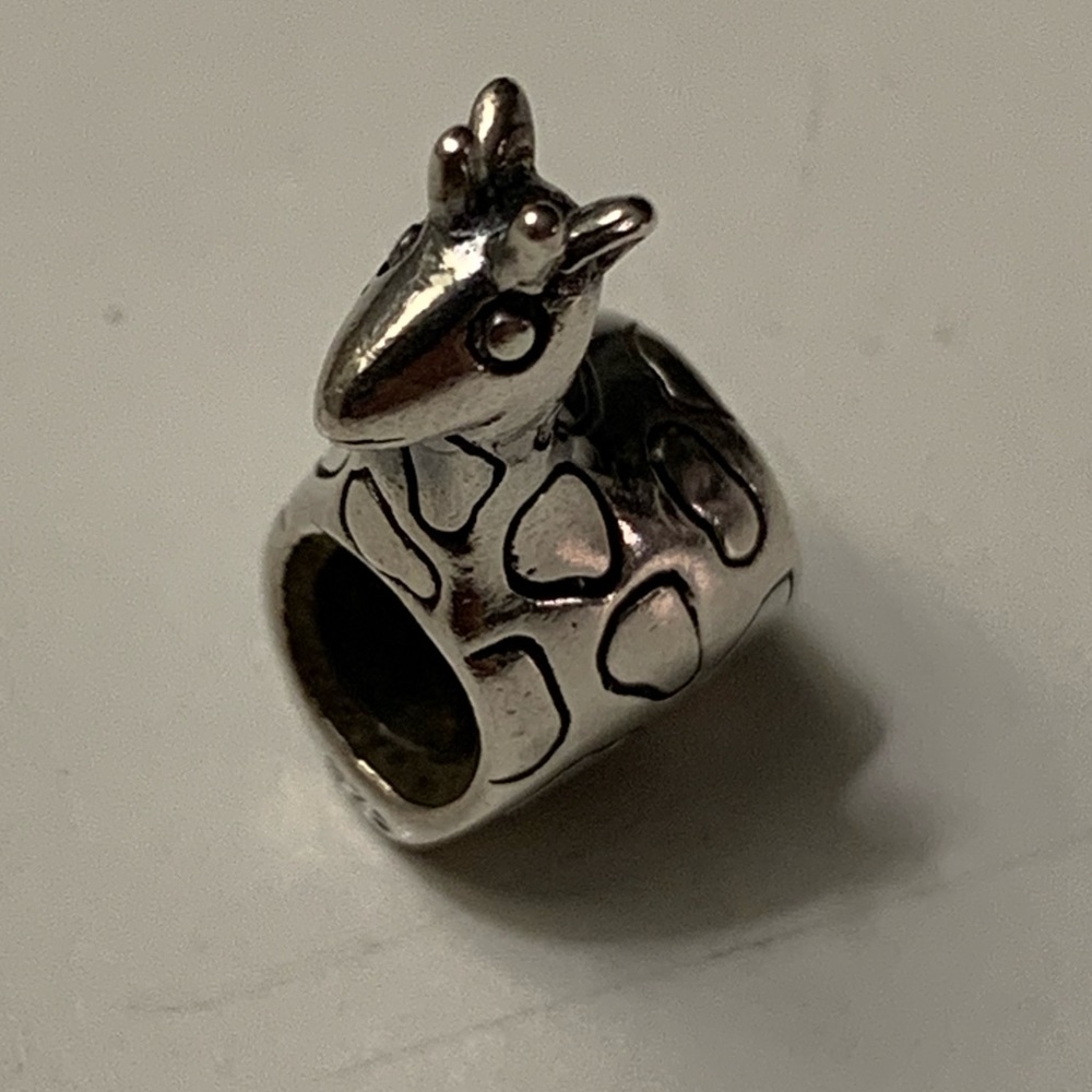 925 Bracelet Charm